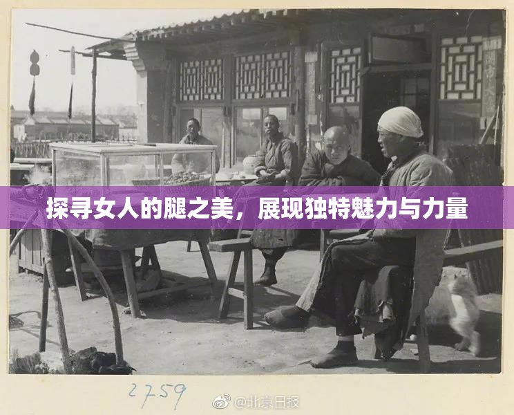 探寻女人的腿之美，展现独特魅力与力量