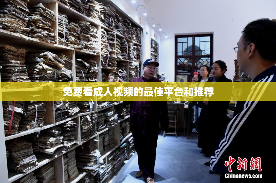 免费看成人视频的最佳平台和推荐