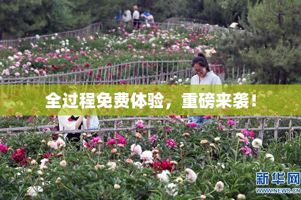 全过程免费体验，重磅来袭！
