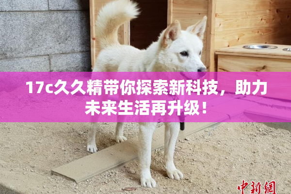17c久久精带你探索新科技，助力未来生活再升级！