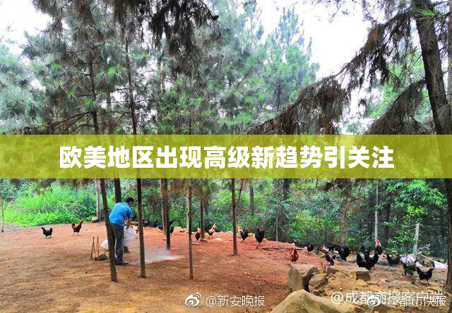 欧美地区出现高级新趋势引关注