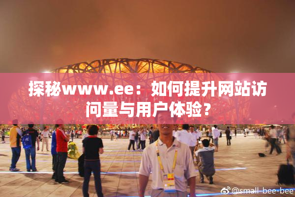 探秘www.ee：如何提升网站访问量与用户体验？