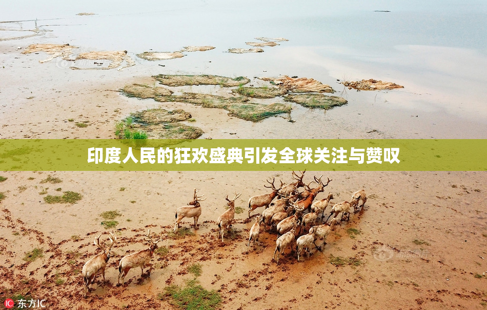 印度人民的狂欢盛典引发全球关注与赞叹