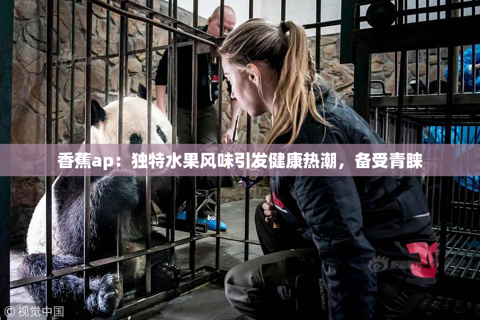 香蕉ap：独特水果风味引发健康热潮，备受青睐