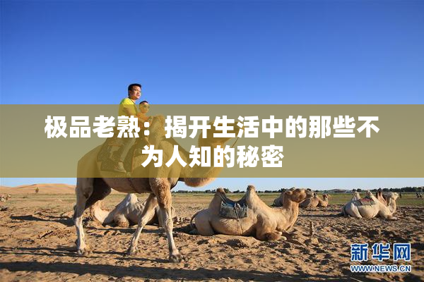 极品老熟：揭开生活中的那些不为人知的秘密