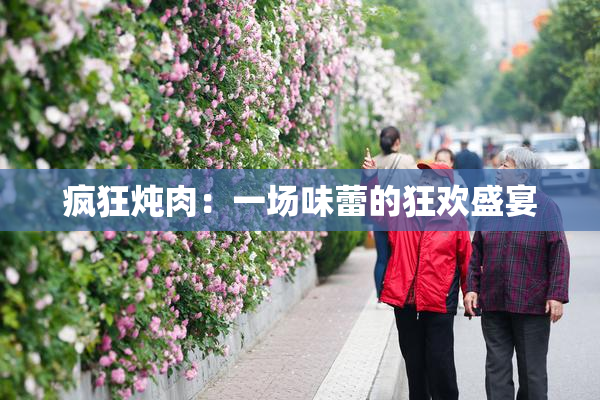 疯狂炖肉：一场味蕾的狂欢盛宴