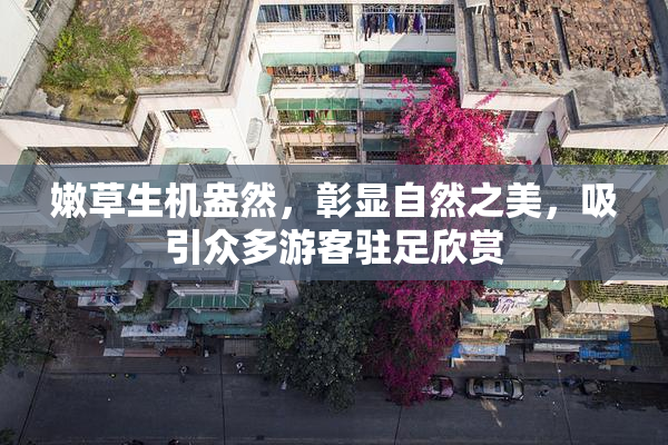 嫩草生机盎然，彰显自然之美，吸引众多游客驻足欣赏