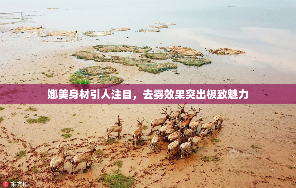 娜美身材引人注目，去雾效果突出极致魅力