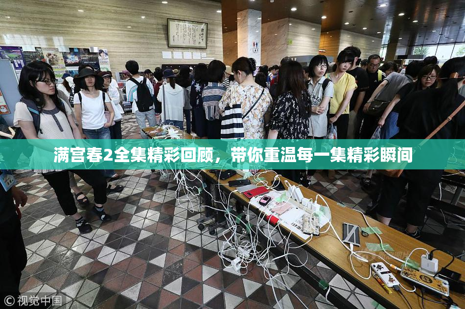满宫春2全集精彩回顾，带你重温每一集精彩瞬间