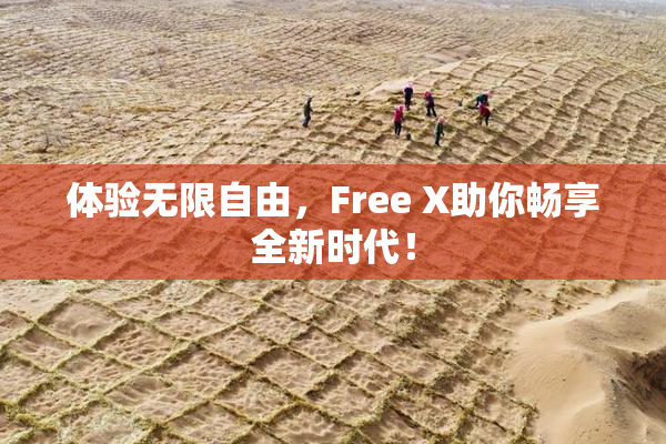 体验无限自由，Free X助你畅享全新时代！