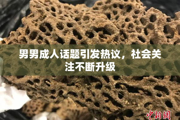 男男成人话题引发热议，社会关注不断升级