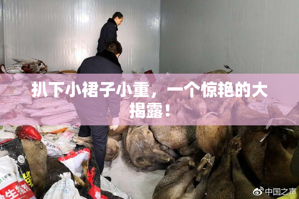 扒下小裙子小重，一个惊艳的大揭露！