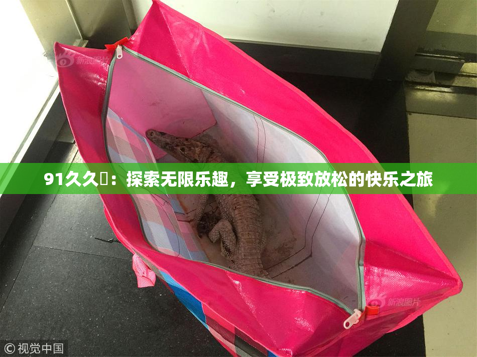 91久久擼：探索无限乐趣，享受极致放松的快乐之旅