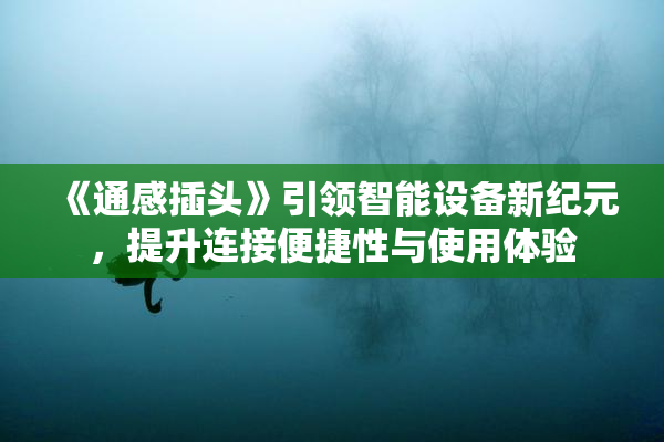《通感插头》引领智能设备新纪元，提升连接便捷性与使用体验