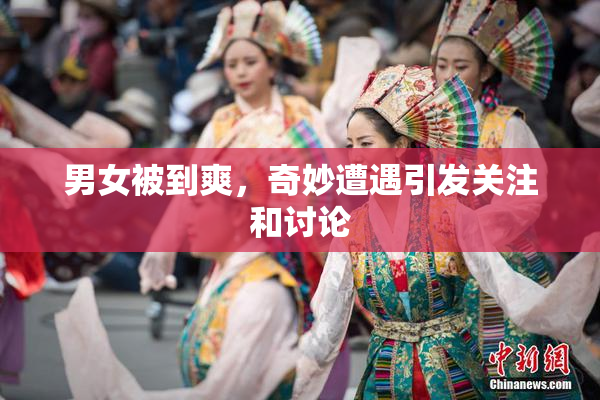 男女被到爽，奇妙遭遇引发关注和讨论