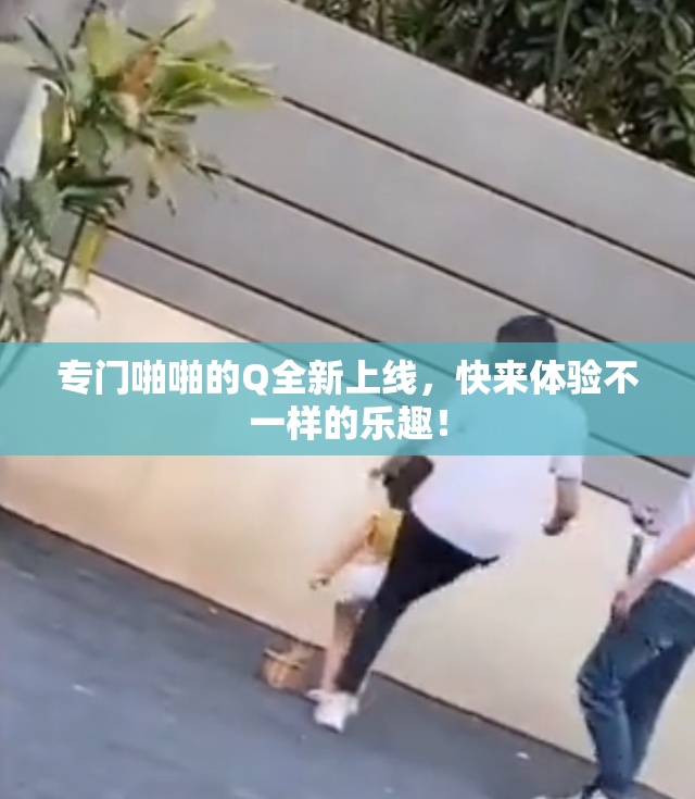 专门啪啪的Q全新上线，快来体验不一样的乐趣！