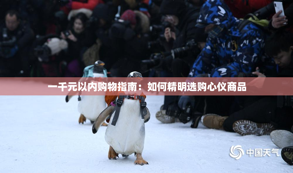 一千元以内购物指南：如何精明选购心仪商品