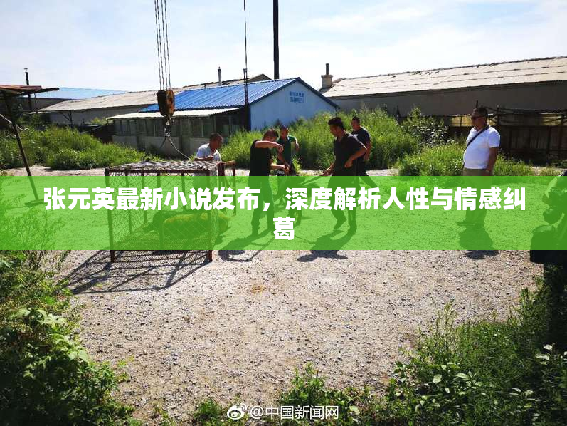 张元英最新小说发布，深度解析人性与情感纠葛