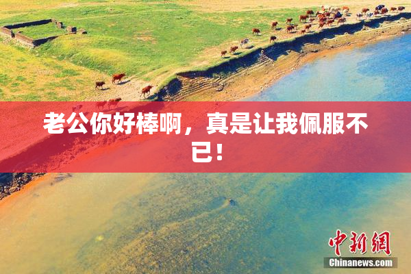 老公你好棒啊，真是让我佩服不已！