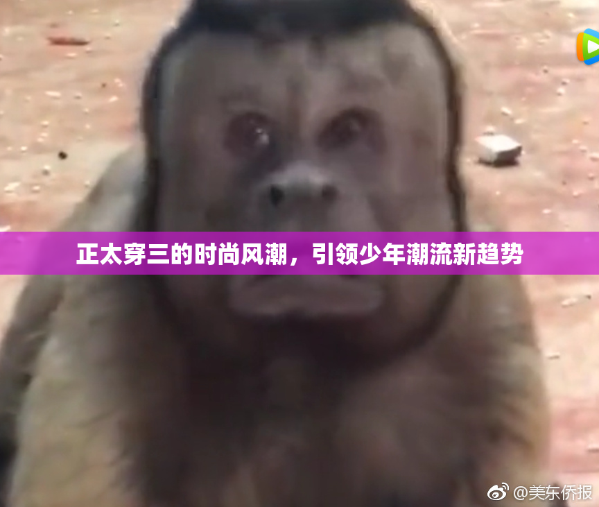 正太穿三的时尚风潮，引领少年潮流新趋势
