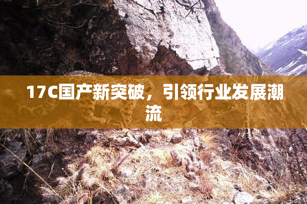 17C国产新突破，引领行业发展潮流