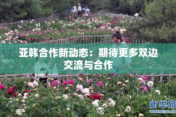 亚韩合作新动态：期待更多双边交流与合作