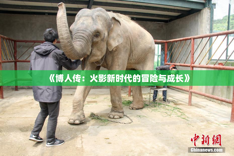 《博人传：火影新时代的冒险与成长》