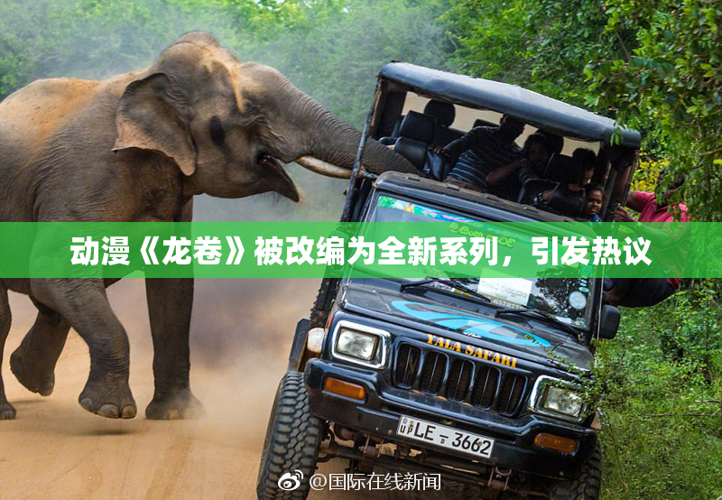 动漫《龙卷》被改编为全新系列，引发热议