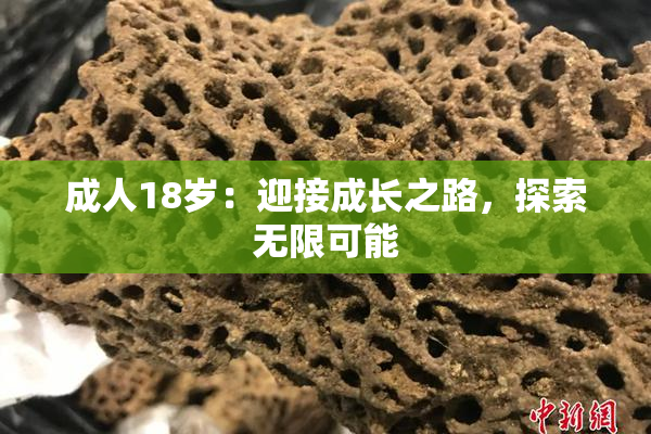 成人18岁：迎接成长之路，探索无限可能