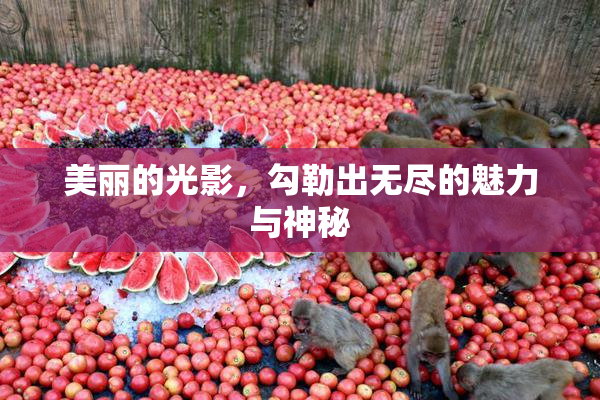 美丽的光影，勾勒出无尽的魅力与神秘