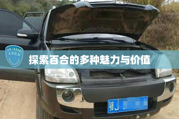 探索百合的多种魅力与价值