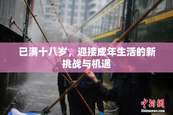 已满十八岁，迎接成年生活的新挑战与机遇