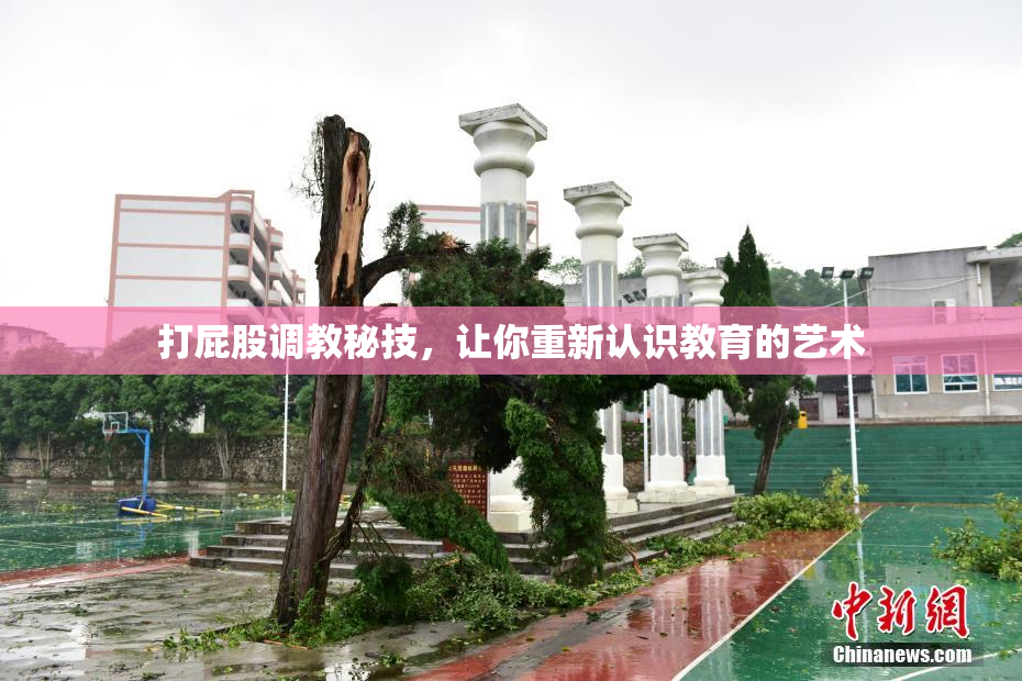 打屁股调教秘技，让你重新认识教育的艺术