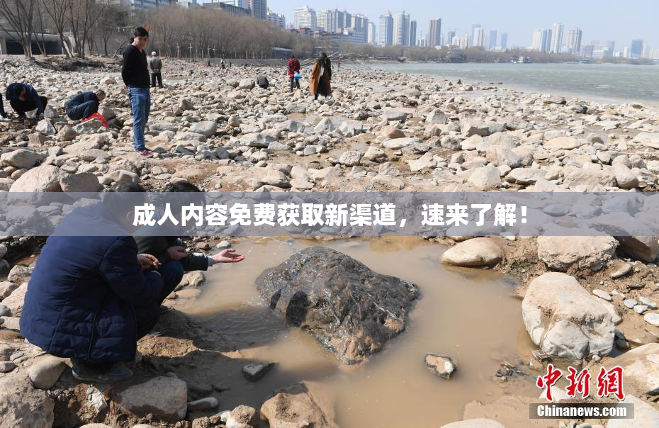 成人内容免费获取新渠道，速来了解！