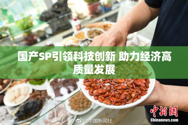 国产SP引领科技创新 助力经济高质量发展