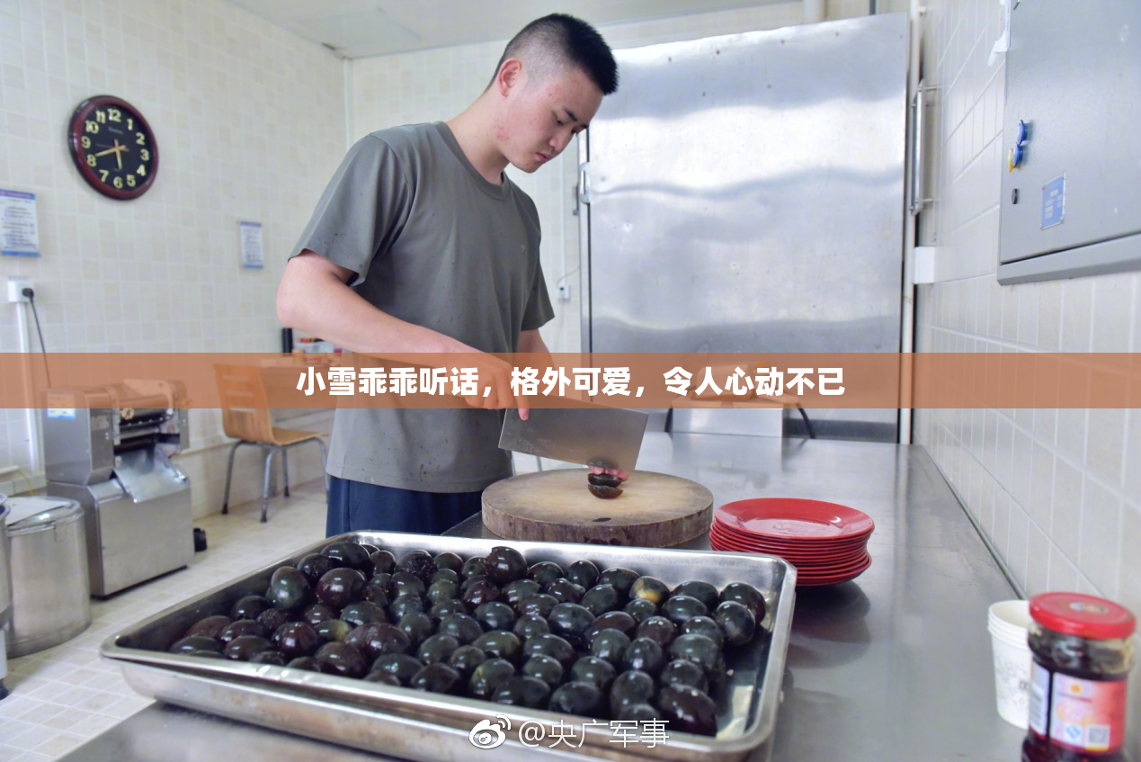 小雪乖乖听话，格外可爱，令人心动不已