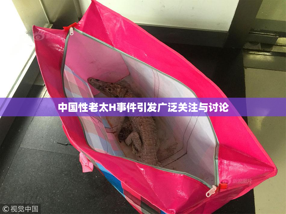 中国性老太H事件引发广泛关注与讨论