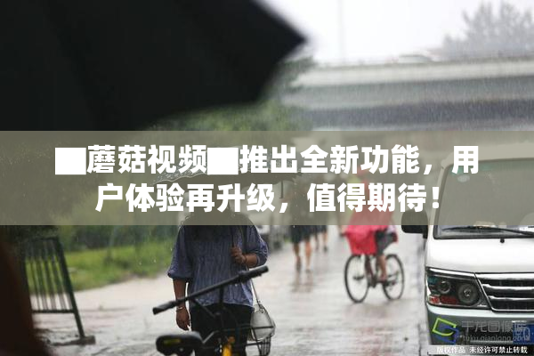 ▇蘑菇视频▇推出全新功能，用户体验再升级，值得期待！