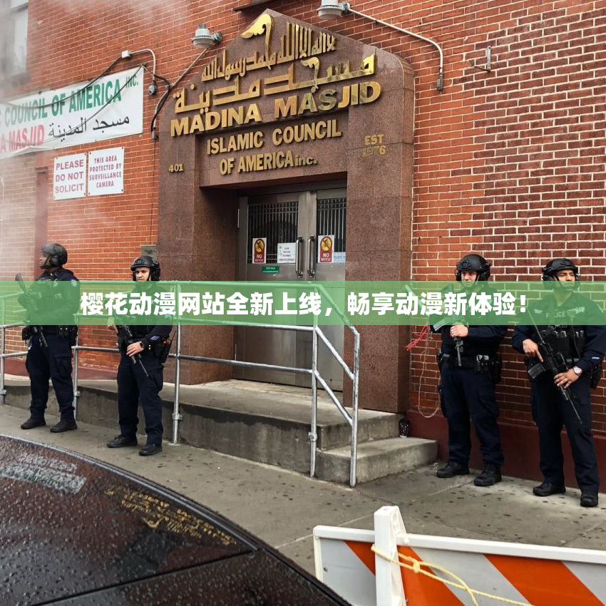 樱花动漫网站全新上线，畅享动漫新体验！