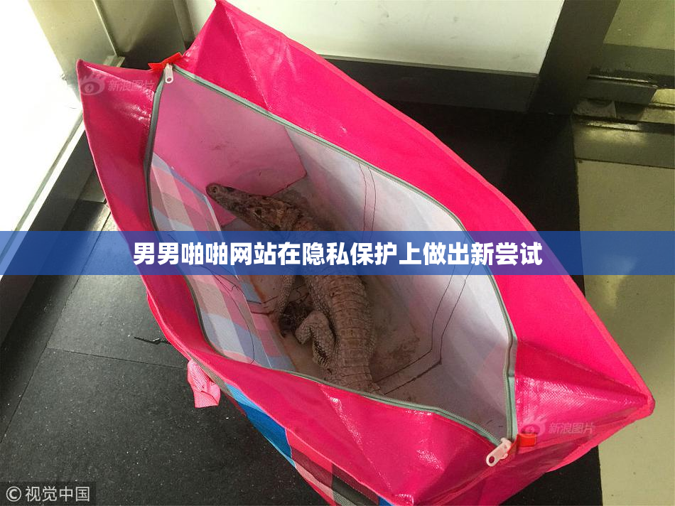 男男啪啪网站在隐私保护上做出新尝试