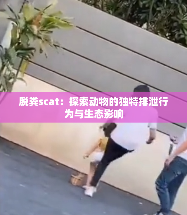 脱粪scat：探索动物的独特排泄行为与生态影响