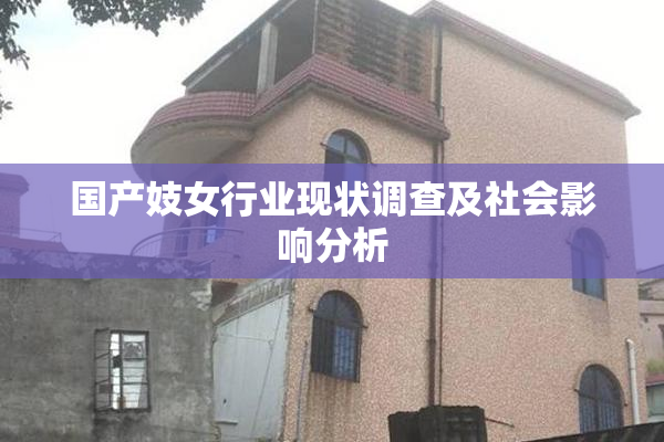 国产妓女行业现状调查及社会影响分析