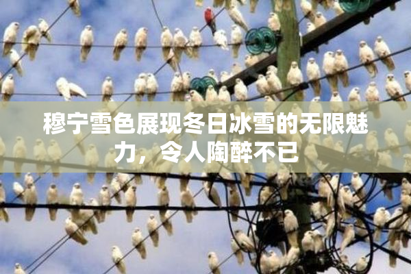 穆宁雪色展现冬日冰雪的无限魅力，令人陶醉不已