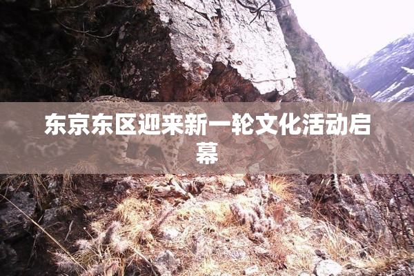 东京东区迎来新一轮文化活动启幕