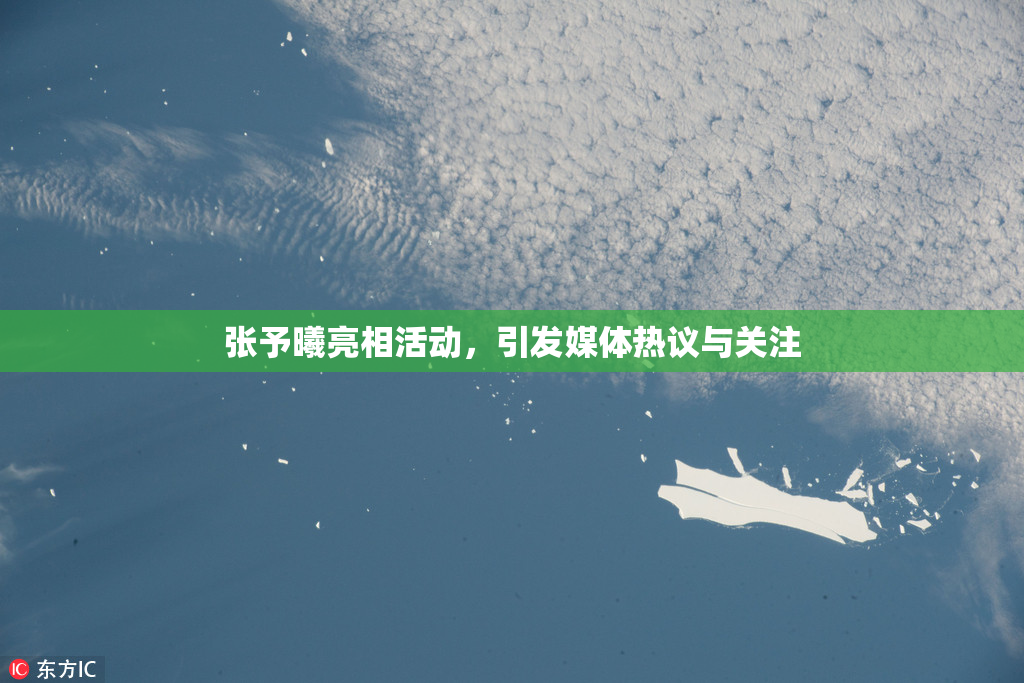 张予曦亮相活动，引发媒体热议与关注