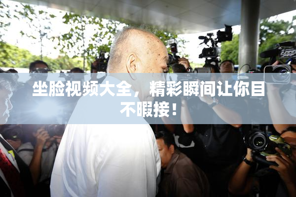 坐脸视频大全，精彩瞬间让你目不暇接！