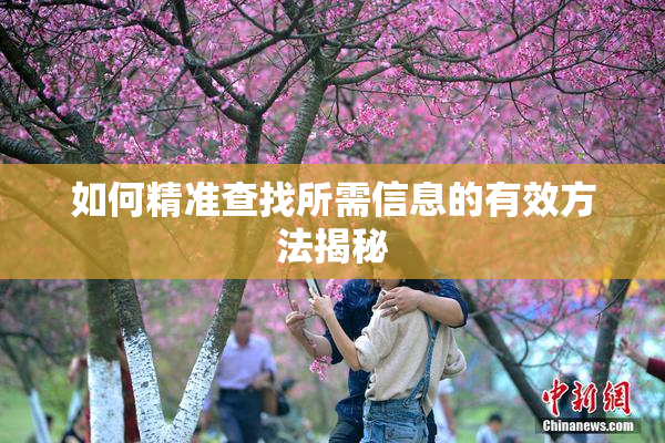 如何精准查找所需信息的有效方法揭秘