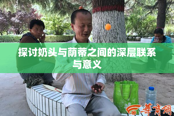 探讨奶头与荫蒂之间的深层联系与意义