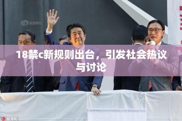 18禁c新规则出台，引发社会热议与讨论