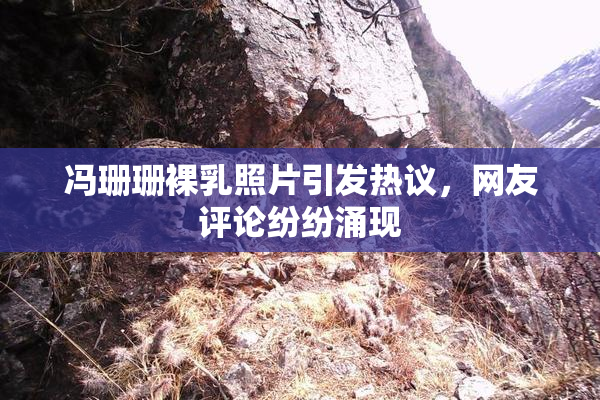 冯珊珊裸乳照片引发热议，网友评论纷纷涌现